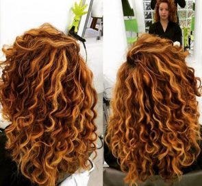 tdc13 295x271 - tdc13