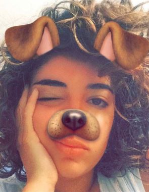 tdc2 1 295x380 - tdc2