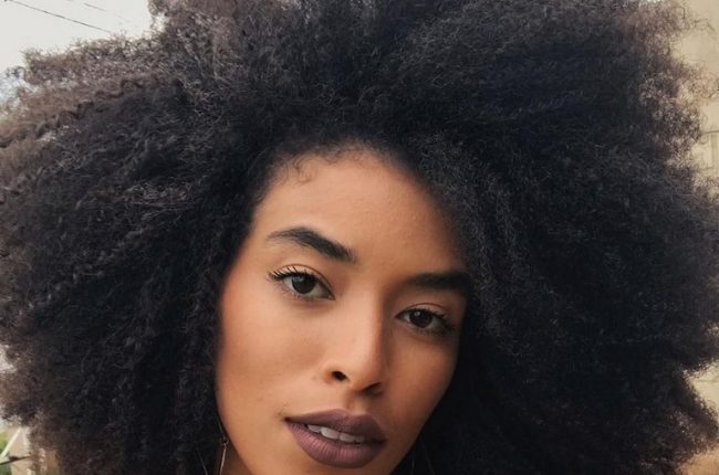 Cabelos afros: tudo o que você quer saber!