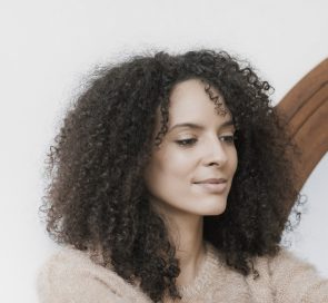 castanho escuro 21 295x272 - castanho-escuro-21