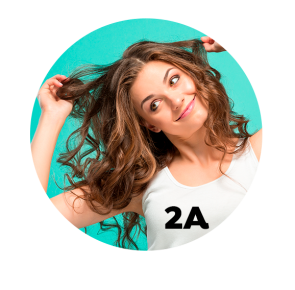 2A 295x290 - 2A