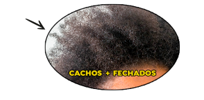 Cachos fechados 295x145 - Cachos-fechados