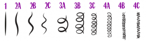 tipos de cabelo 1 295x84 - tipos-de-cabelo