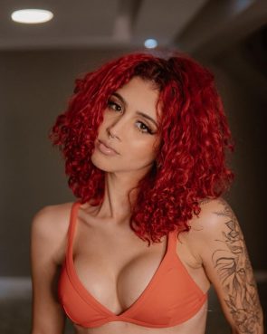 diferenca cabelo crespo e cacheado 1 295x369 - diferen&ccedil;a-cabelo-crespo-e-cacheado-1